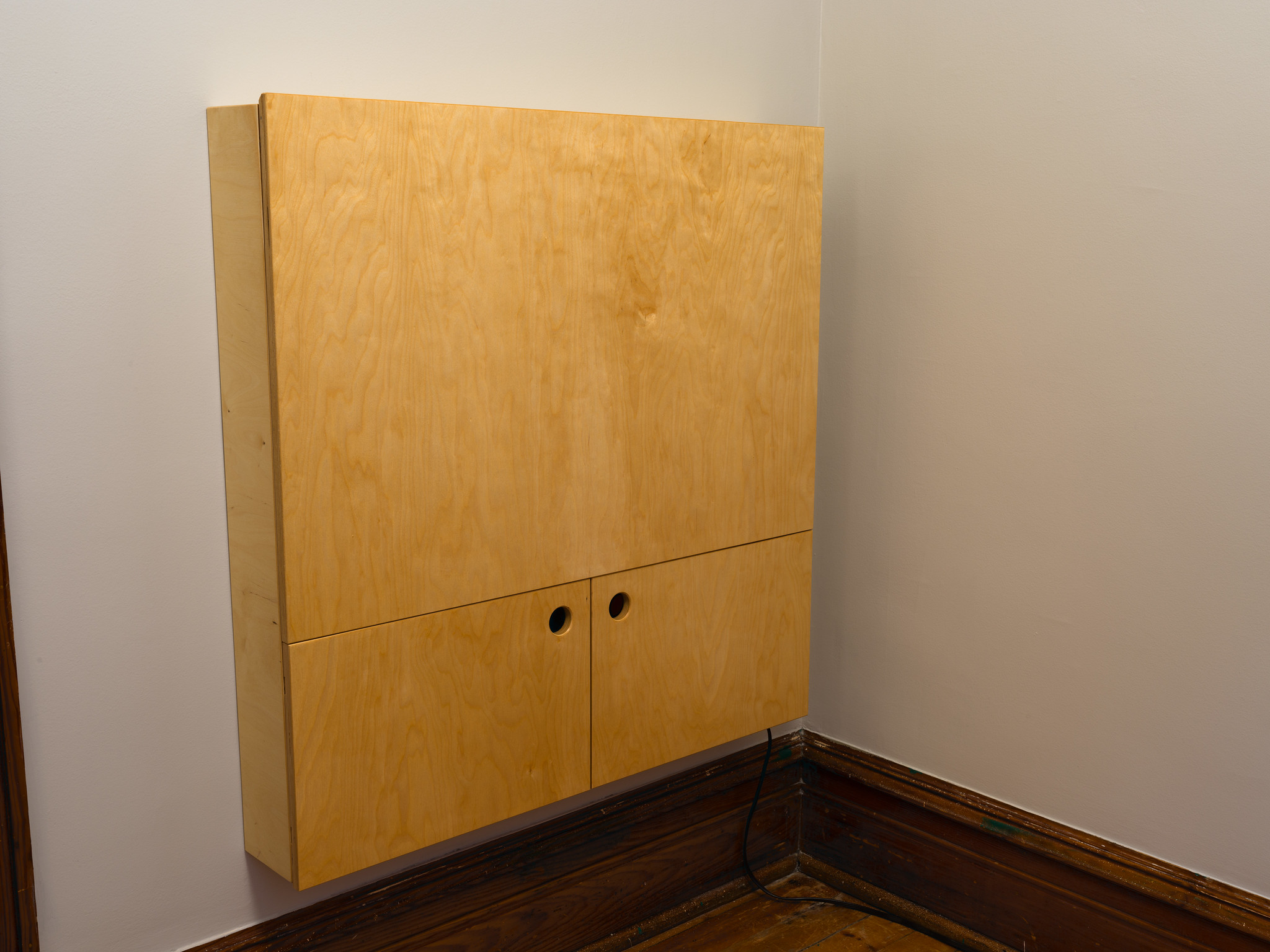 A convertible, fold-down desk. It is currently closed. Made from baltic birch.